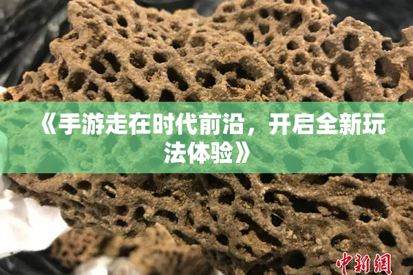 《手游走在时代前沿，开启全新玩法体验》