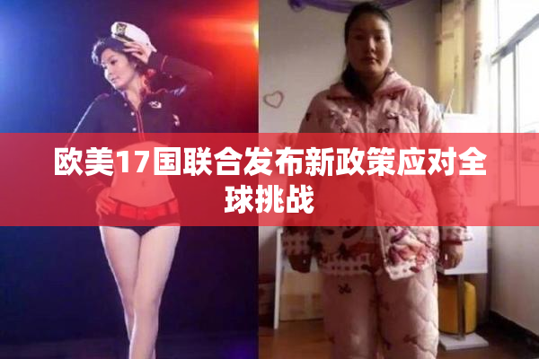 欧美17国联合发布新政策应对全球挑战