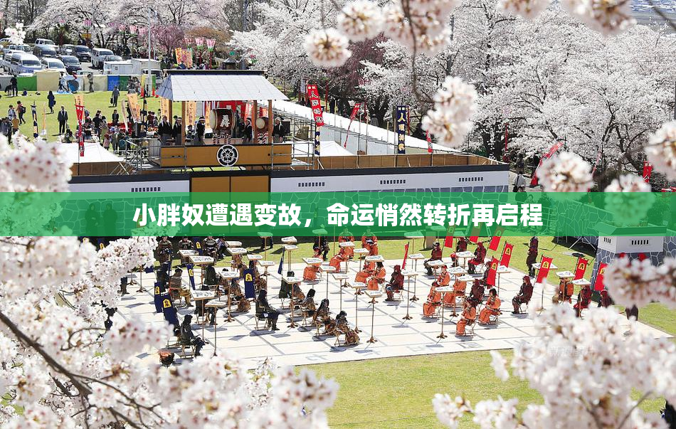 小胖奴遭遇变故，命运悄然转折再启程