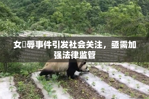 女婬辱事件引发社会关注，亟需加强法律监管