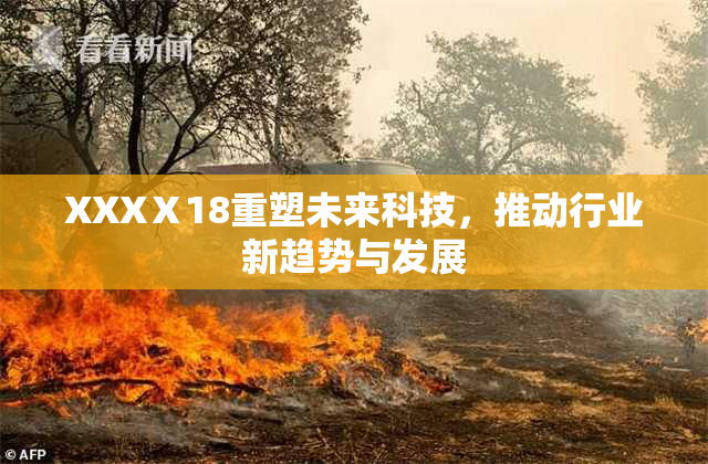 XXXⅩ18重塑未来科技，推动行业新趋势与发展
