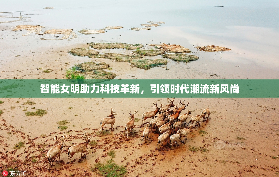 智能女明助力科技革新，引领时代潮流新风尚