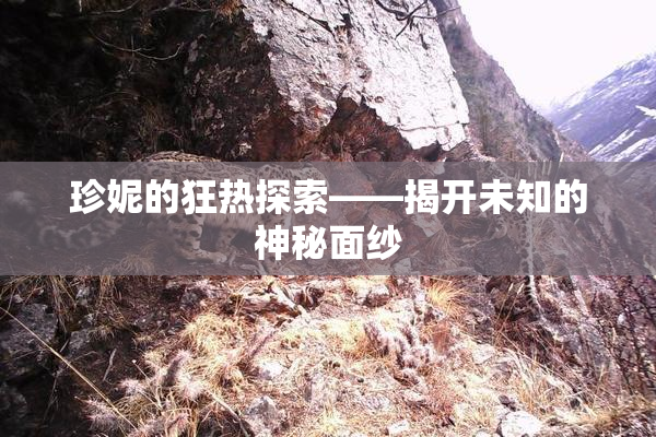 珍妮的狂热探索——揭开未知的神秘面纱