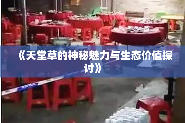 《天堂草的神秘魅力与生态价值探讨》
