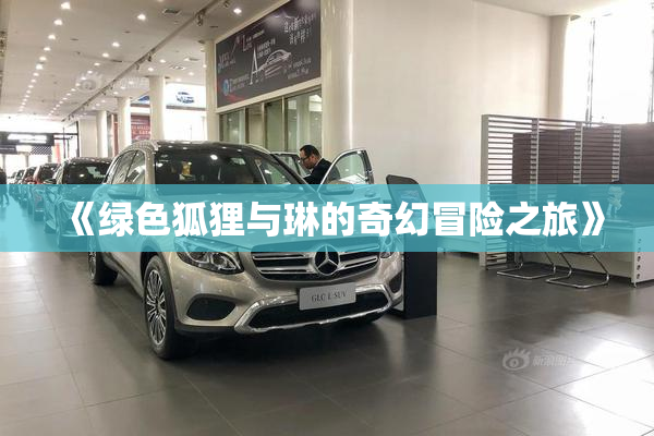 《绿色狐狸与琳的奇幻冒险之旅》