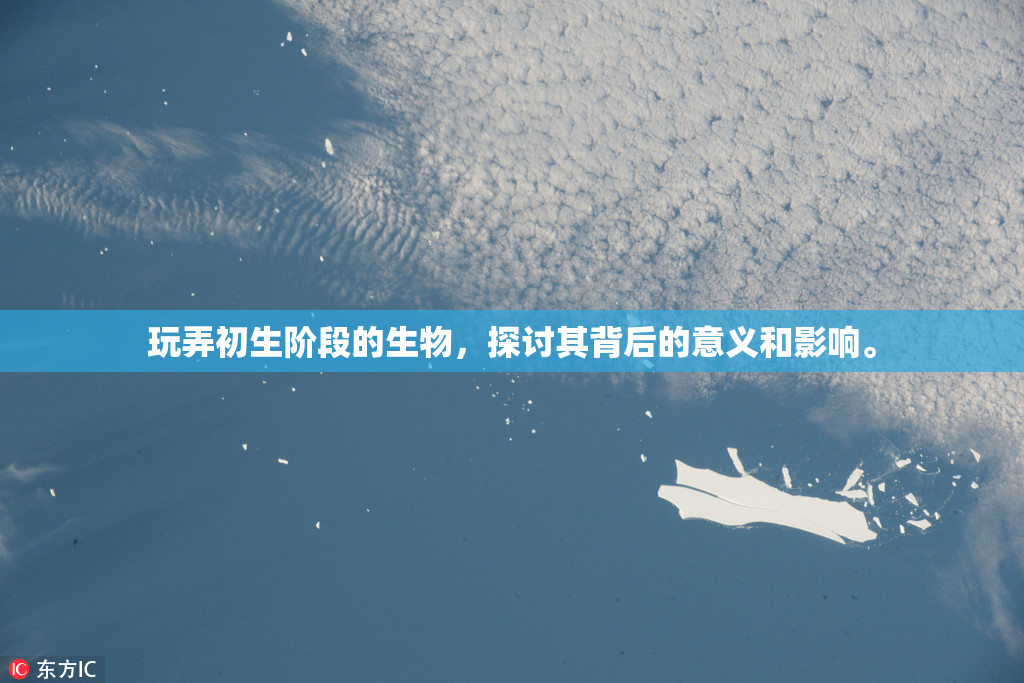 玩弄初生阶段的生物，探讨其背后的意义和影响。