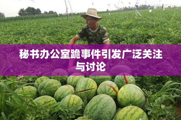 秘书办公室跪事件引发广泛关注与讨论
