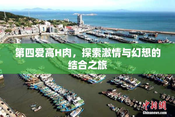 第四爱高H肉，探索激情与幻想的结合之旅