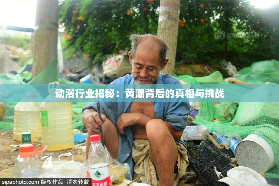 动漫行业揭秘：黄潮背后的真相与挑战