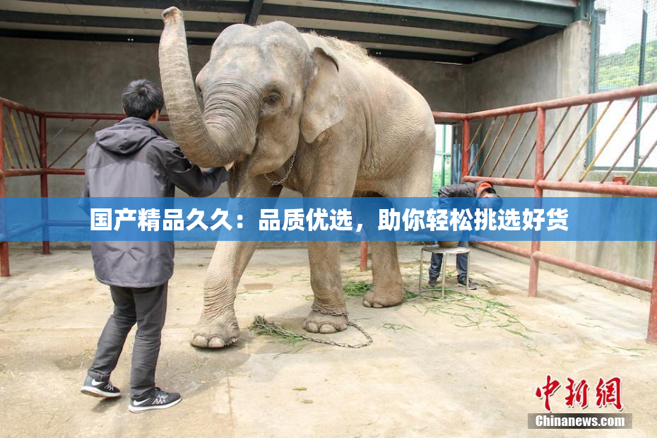 国产精品久久：品质优选，助你轻松挑选好货