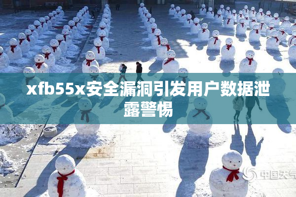 xfb55x安全漏洞引发用户数据泄露警惕