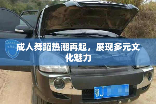 成人舞蹈热潮再起，展现多元文化魅力