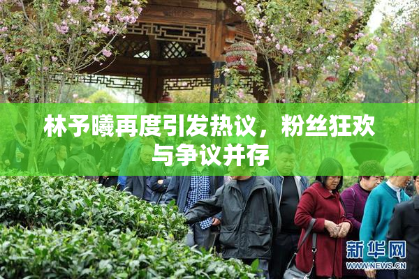 林予曦再度引发热议，粉丝狂欢与争议并存