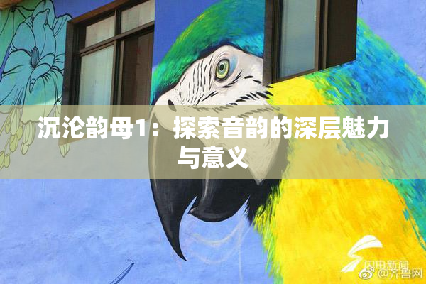 沉沦韵母1：探索音韵的深层魅力与意义
