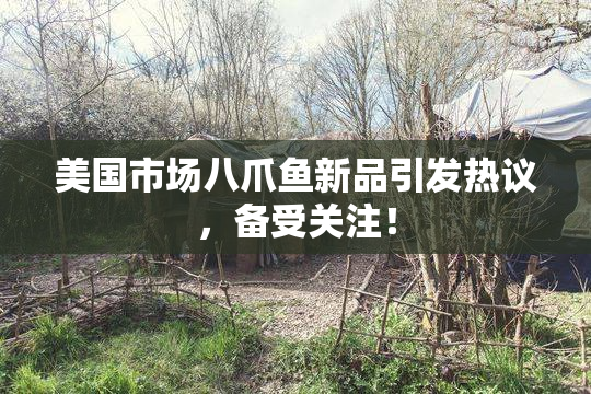 美国市场八爪鱼新品引发热议，备受关注！