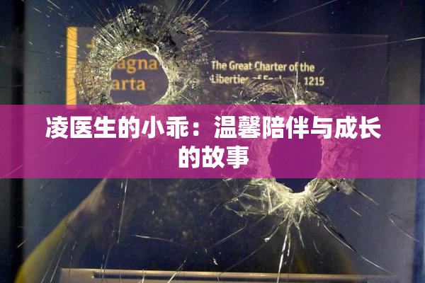 凌医生的小乖：温馨陪伴与成长的故事