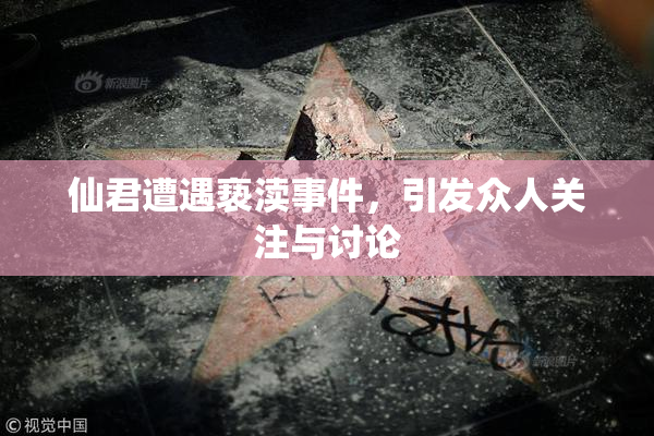 仙君遭遇亵渎事件，引发众人关注与讨论