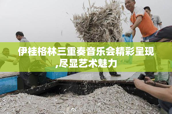 伊桂格林三重奏音乐会精彩呈现,尽显艺术魅力