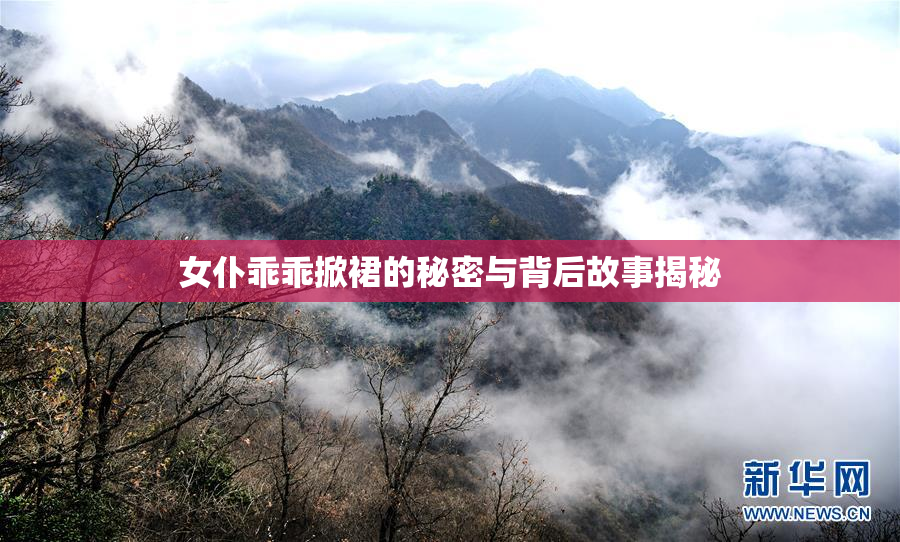女仆乖乖掀裙的秘密与背后故事揭秘