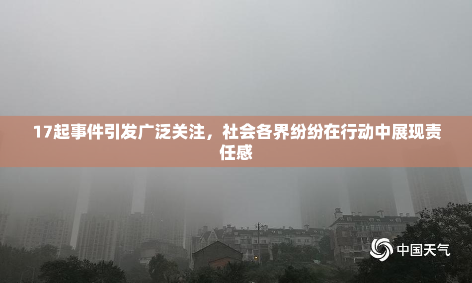 17起事件引发广泛关注，社会各界纷纷在行动中展现责任感