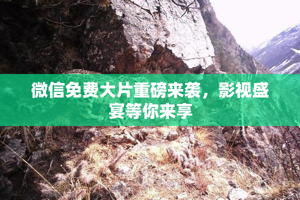 微信免费大片重磅来袭，影视盛宴等你来享