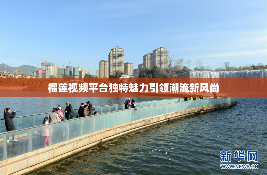 榴莲视频平台独特魅力引领潮流新风尚