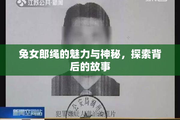 兔女郎绳的魅力与神秘，探索背后的故事