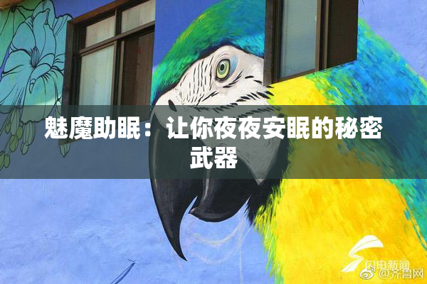 魅魔助眠：让你夜夜安眠的秘密武器