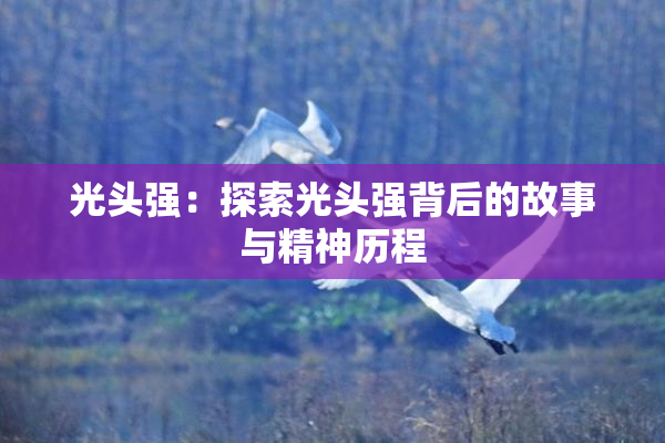 光头强：探索光头强背后的故事与精神历程