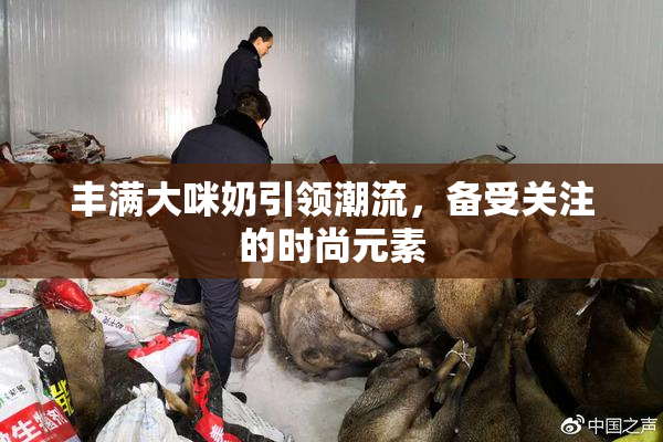丰满大咪奶引领潮流，备受关注的时尚元素