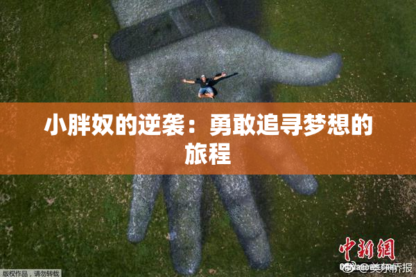 小胖奴的逆袭：勇敢追寻梦想的旅程