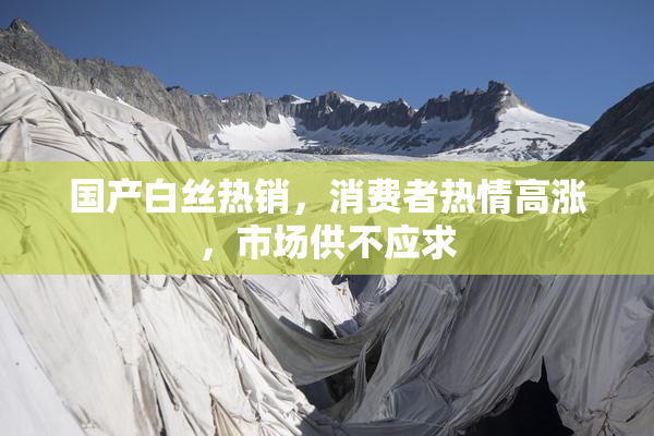 国产白丝热销，消费者热情高涨，市场供不应求