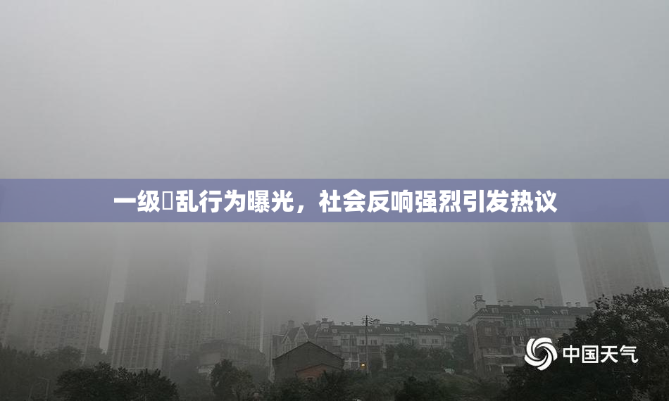 一级婬乱行为曝光，社会反响强烈引发热议