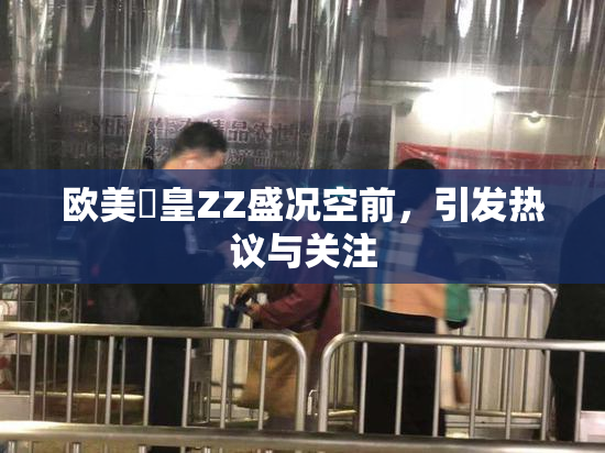 欧美嘼皇ZZ盛况空前，引发热议与关注