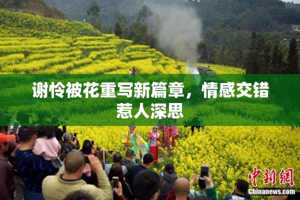 谢怜被花重写新篇章，情感交错惹人深思
