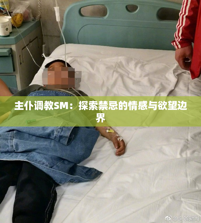 主仆调教SM：探索禁忌的情感与欲望边界