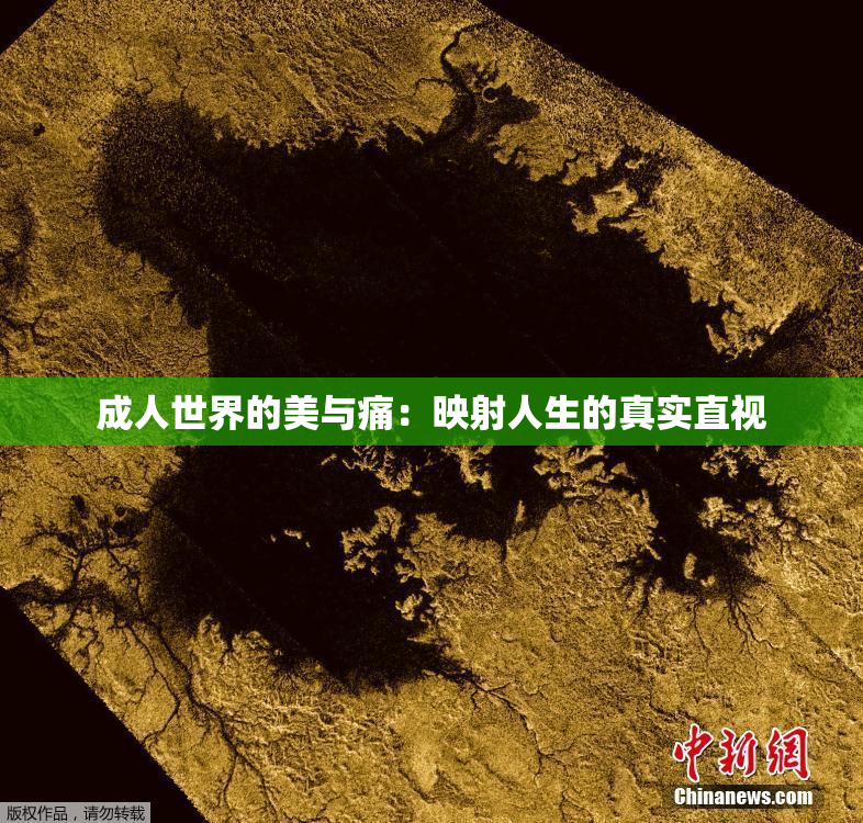 成人世界的美与痛：映射人生的真实直视