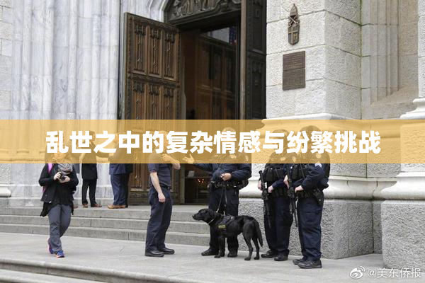 乱世之中的复杂情感与纷繁挑战