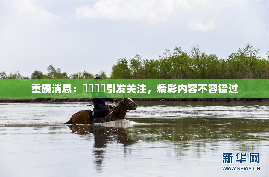 重磅消息：馃悢馃悢引发关注，精彩内容不容错过