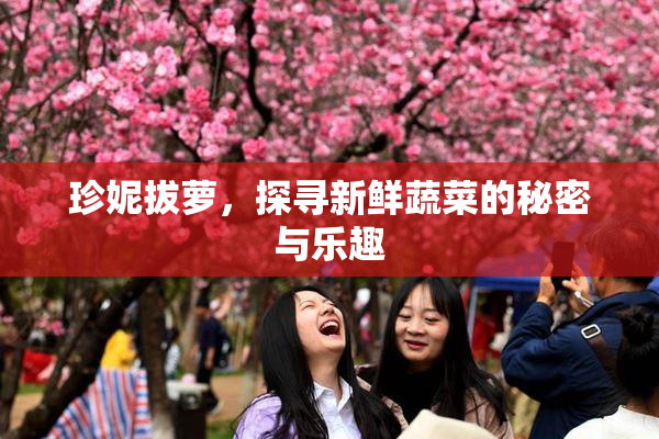 珍妮拔萝，探寻新鲜蔬菜的秘密与乐趣