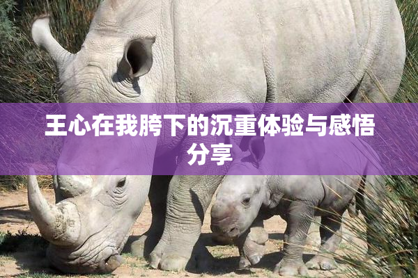 王心在我胯下的沉重体验与感悟分享