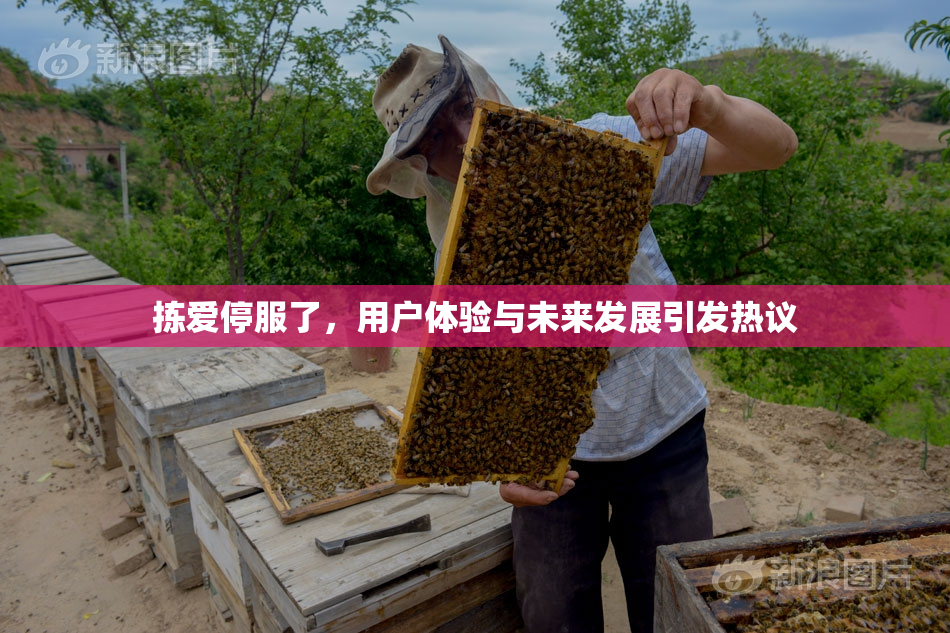 拣爱停服了，用户体验与未来发展引发热议