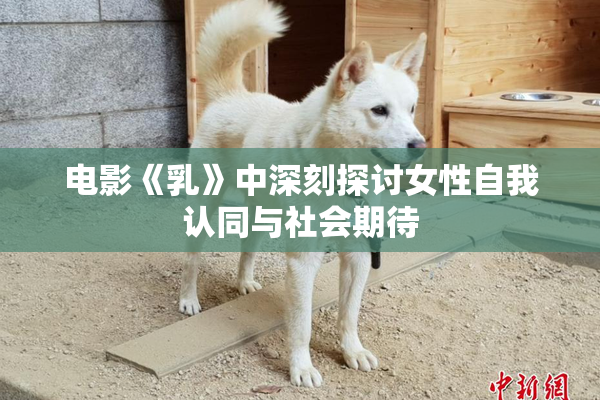 电影《乳》中深刻探讨女性自我认同与社会期待