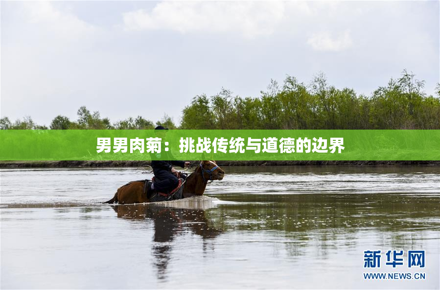 男男肉菊：挑战传统与道德的边界