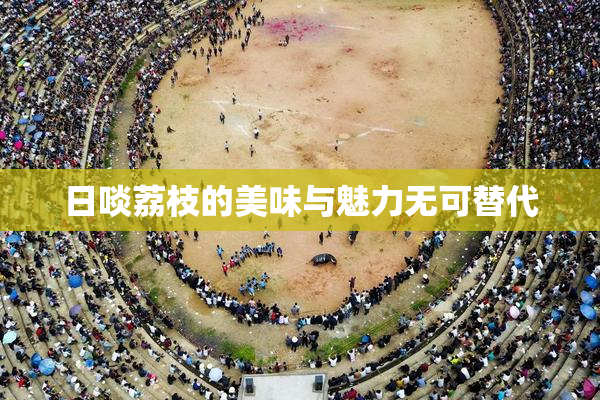日啖荔枝的美味与魅力无可替代