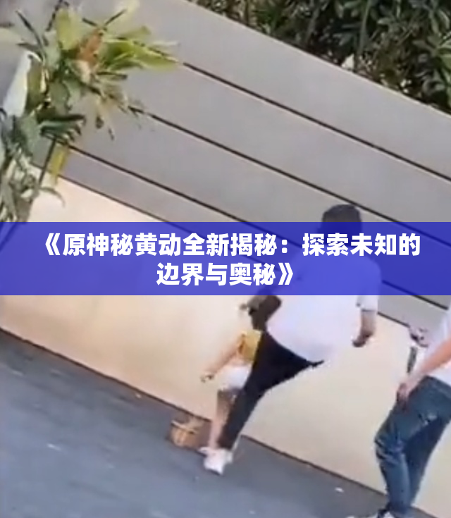 《原神秘黄动全新揭秘：探索未知的边界与奥秘》