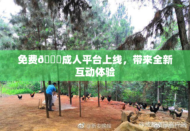免费🔞成人平台上线，带来全新互动体验