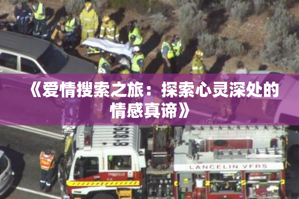《爱情搜索之旅：探索心灵深处的情感真谛》