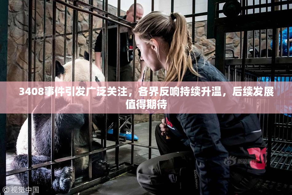 3408事件引发广泛关注，各界反响持续升温，后续发展值得期待