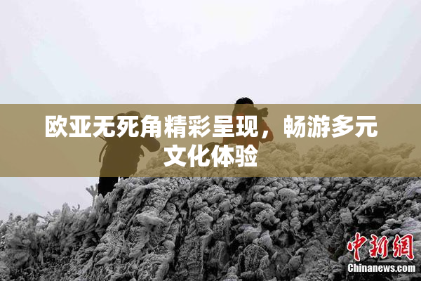欧亚无死角精彩呈现，畅游多元文化体验